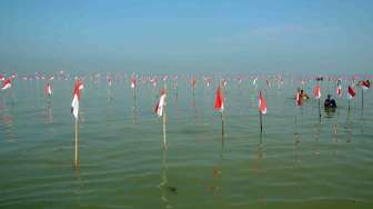 Pengibaran 1000 Bendera Merah Putih