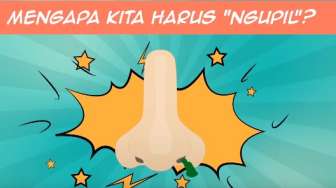 VIDEO: Kenapa Manusia Harus Ngupil