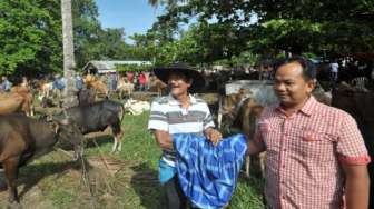 Tradisi Marosok, Cara Orang Minang Jual-beli Ternak