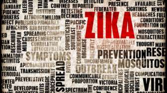 Virus Zika Ancam Turis Asing di India