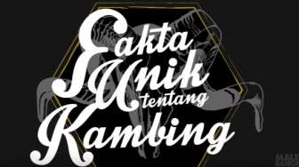 VIDEO: Fakta Unik Tentang Kambing