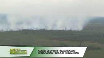 DPR Tinjau Kasus Kebakaran Hutan di Riau  