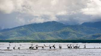 Kabupaten Maluku Tenggara Barat Berubah Nama Jadi Kepulauan Tanimbar