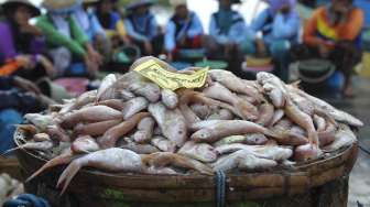 Lagi, Masyarakat Diimbau Perbanyak Asupan Protein dari Ikan