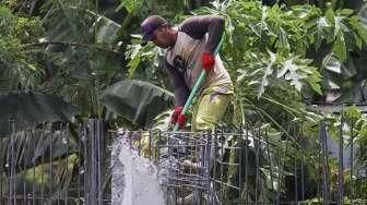 Berkedok Naturalisasi Sungai, BPS Diduga Raup Keuntungan Pribadi