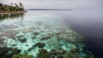 Tingkatkan Ekonomi Desa, Jasa Raharja Kembangkan Ekowisata di Wakatobi