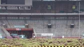 Stadion GBK Mulai Bebenah