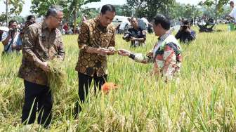 Jokowi Didesak Revisi UU Ekonomi yang Tak Sesuai Dengan UUD 1945