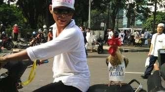 Ada-ada Saja, Ayam Jago Diajak Ikut Demo Ahok