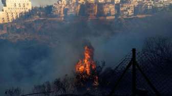 Api Hanguskan Sebagian Besar Israel