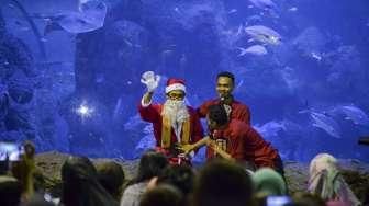 Pengunjung menyaksikan atraksi para Santa Claus saat memberikan makan kepada ribuan biota laut di wahana Sea World Taman Impian Jaya Ancol, Jakarta, Minggu (25/12/2016). [Suara.com/Kurniawan Mas'ud]