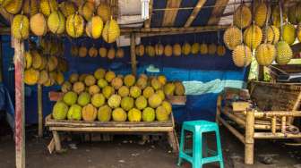 Dua Bulan Lagi, Kalimantan Barat Diprediksi Panen Durian