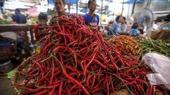 Mendag: Harga Cabe Rawit Merah Besar Turun 13,33 Persen