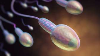 Alamak, Studi Terbaru Temukan Covid-19 Bisa Turunkan Kualitas Sperma Selama 3 Bulan