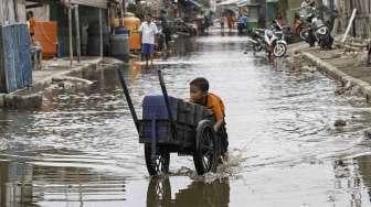 Permukaan Air Laut di Jakarta Meninggi, Waspada Terjangan Banjir Rob