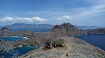 Labuan Bajo, Sumba, dan Malang Terpopuler di Mesin Pencari Google