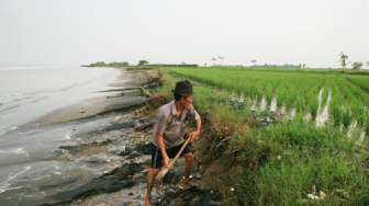 Abrasi Sebabkan Sejumlah Kampung di Karawang 'Tenggelam'