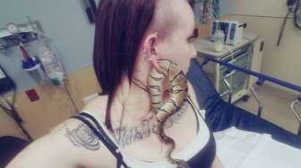 Astaga! Perempuan Ini Masukkan Ular ke Lubang Anting