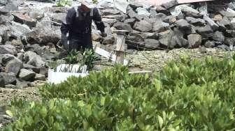 Sejumlah warga menanam bibit mangrove di Kepulauan Seribu, Jakarta, Sabtu (4/2).