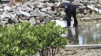 Sejumlah warga menanam bibit mangrove di Kepulauan Seribu, Jakarta, Sabtu (4/2).