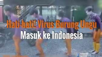 Waspada! Virus Burung Ungu Menyerang Indonesia