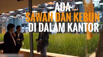 Keren! Ada Sawah, Kebun dan 280 Tanaman di dalam Kantor Ini