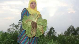 Khofifah Takjub Kampung Pengemis Berubah Jadi Kampung Wisata