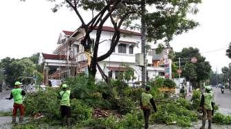 Pekerja Dinas Pertanaman dan Pemakaman DKI Jakarta melakukan penebangan pohon dikawasan Menteng, Jakarta, Rabu (22/3).