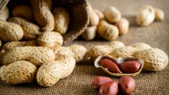 Cegah Kanker Payudara hingga Masalah Kulit, Simak 6 Manfaat Kacang Tanah