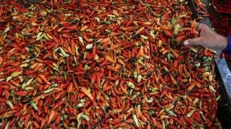 Deflasi di Bali Bulan Februari Disebabkan Turunnya Harga Minyak Goreng Sampai Cabai
