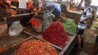 Wow! Harga Cabai Rawit di Kabupaten Sanggau Kalbar Rp 150 Ribu Per Kilogram
