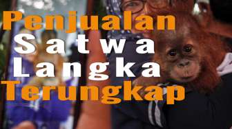 Polisi Bongkar Praktik Bisnis Satwa Langka via Online