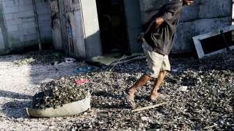 Nelayan di kawasan tempat produksi kerang hijau di Cilincing, Jakarta, Rabu (5/4/2017). [Suara.com/Oke Atmaja]