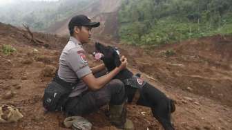 Polisi satwa yang tergabung dalam tim SAR gabungan mencari korban yang tertimbun longsor di Desa Banaran, Kecamatan Pulung, Ponorogo, Jawa Timur, Kamis (6/4).