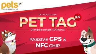 Pets.id Luncurkan "Pet Tag" Berteknologi "Passive GPS"