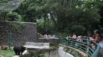 Warga berkunjung ke Kebun Binatang Ragunan, Jakarta, Sabtu (15/4).