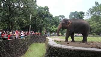 Warga berkunjung ke Kebun Binatang Ragunan, Jakarta, Sabtu (15/4).