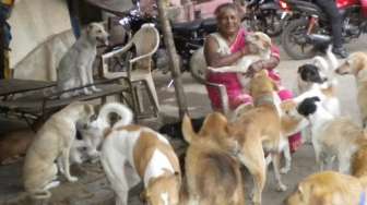 Hidup Miskin, Nenek Ini Berbagi Gubuk dengan 400 Anjing Terlantar