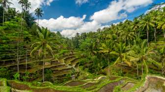 Pemandangan Alamnya Begitu Memesona, Yuk Staycation untuk Menikmati Libur Lebaran di Ubud, Bali