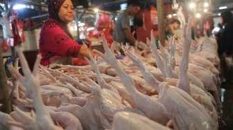 Jelang Ramadhan, Harga Ayam Potong di Pekanbaru Capai Rp 35 Ribu per Kg