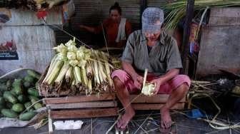 Kulit Ketupat Laris Manis, Pedagang Untung