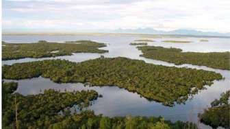 Taman Nasional Danau Sentarum Masuk 15 Danau Prioritas Menuju Ketahanan Air di Indonesia
