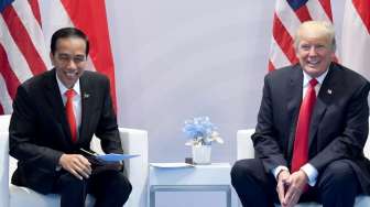 Bertemu Trump, Jokowi Bahas Ekspor Sawit dan Biodiesel ke AS