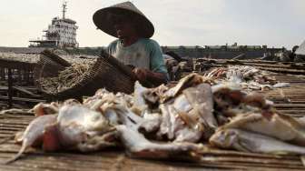 Penyelidikan Bau Ikan Asin Dimulai, Kenali dulu 6 Manfaat Makan Ikan Asin