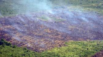 Asap mengepul di atas lahan yang terbakar di Desa Lagan Ulu, Geragai, Tanjungjabung Timur, Jambi, Jumat (4/8).