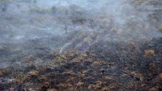 Asap mengepul di atas lahan yang terbakar di Desa Lagan Ulu, Geragai, Tanjungjabung Timur, Jambi, Jumat (4/8).