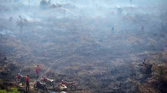 Asap mengepul di atas lahan yang terbakar di Desa Lagan Ulu, Geragai, Tanjungjabung Timur, Jambi, Jumat (4/8).