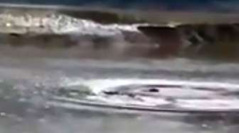 Monster Laut Muncul di Danau Cina?