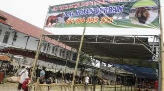 Rupiah Melemah, Penjualan Hewan Kurban Tetap Bergairah Jelang Iduladha 2026