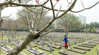 Petugas membersihkan Taman Makam Pahlawan Kalibata, Jakarta, Selasa (15/8).